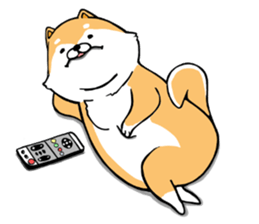 The Shiba Times sticker #15034552