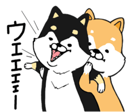 The Shiba Times sticker #15034557
