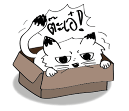 FAT CAT V.01 sticker #15035538