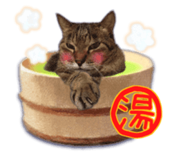 Gon&Jiromaru of a Cat sticker #15035807