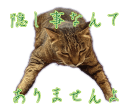Gon&Jiromaru of a Cat sticker #15035814