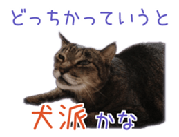 Gon&Jiromaru of a Cat sticker #15035819