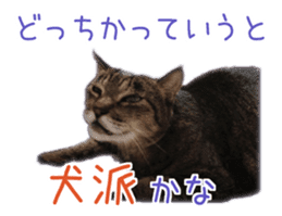 Gon&Jiromaru of a Cat sticker #15035819