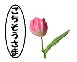 active flower -2 sticker #15035820