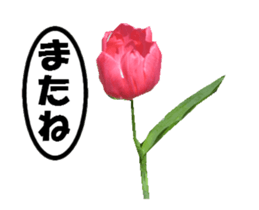 active flower -2 sticker #15035824