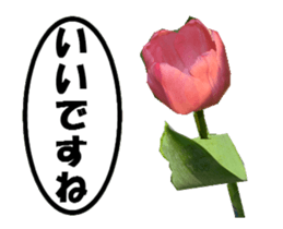 active flower -2 sticker #15035825