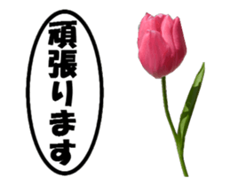 active flower -2 sticker #15035827