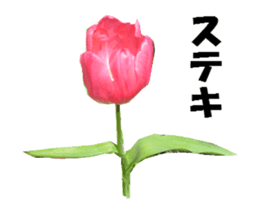 active flower -2 sticker #15035830