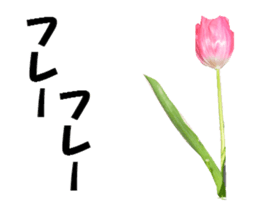 active flower -2 sticker #15035831