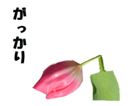 active flower -2 sticker #15035832