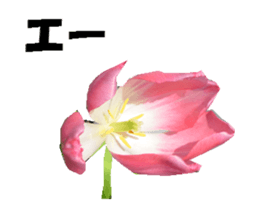 active flower -2 sticker #15035833