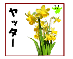 active flower -2 sticker #15035834