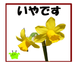 active flower -2 sticker #15035835