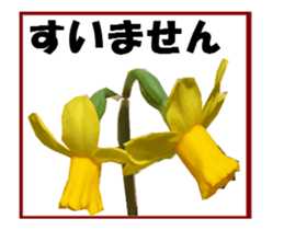 active flower -2 sticker #15035837