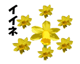 active flower -2 sticker #15035838