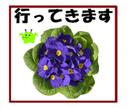 active flower -2 sticker #15035840