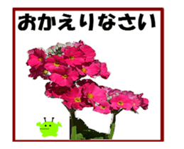 active flower -2 sticker #15035841