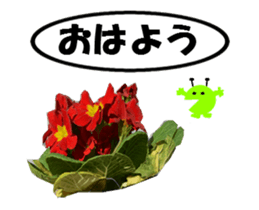 active flower -2 sticker #15035842