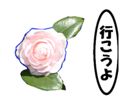 active flower -2 sticker #15035843