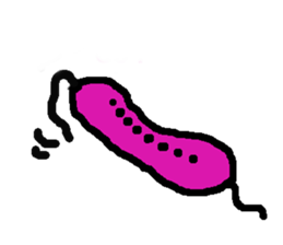 Magnetotactic Bacteria sticker #15037885