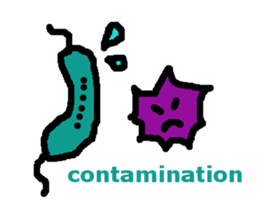 Magnetotactic Bacteria sticker #15037893