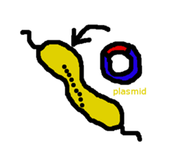 Magnetotactic Bacteria sticker #15037894