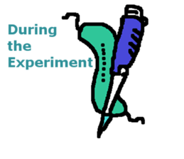 Magnetotactic Bacteria sticker #15037901