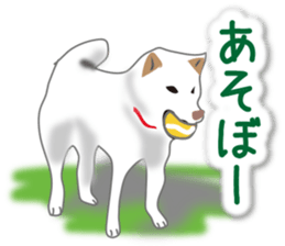 My white dog2 sticker #15037964