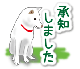 My white dog2 sticker #15037966