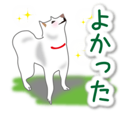 My white dog2 sticker #15037968