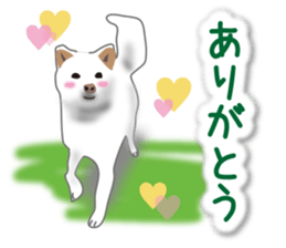 My white dog2 sticker #15037969