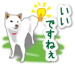 My white dog2 sticker #15037971