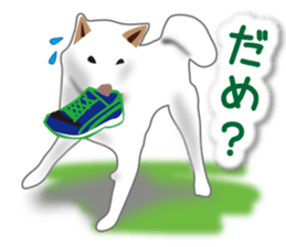 My white dog2 sticker #15037972