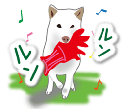 My white dog2 sticker #15037973