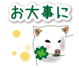 My white dog2 sticker #15037976