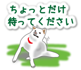 My white dog2 sticker #15037978