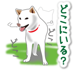 My white dog2 sticker #15037980