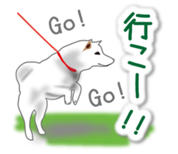 My white dog2 sticker #15037983