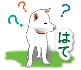 My white dog2 sticker #15037993