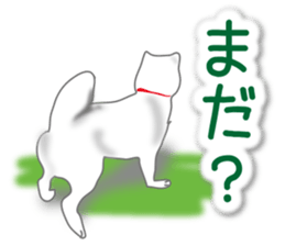My white dog2 sticker #15037995