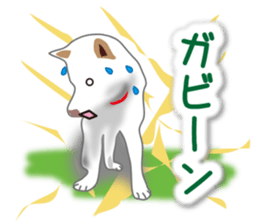 My white dog2 sticker #15037998