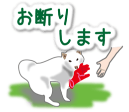 My white dog2 sticker #15038001