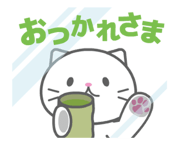 A trapped white cat sticker #15038014