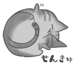 healing watercolor cat sticker #15038257