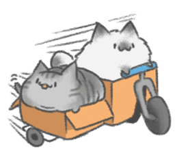 healing watercolor cat sticker #15038287