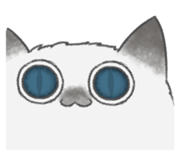 healing watercolor cat sticker #15038288