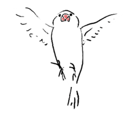 Elegant Rice bird sticker #15039302