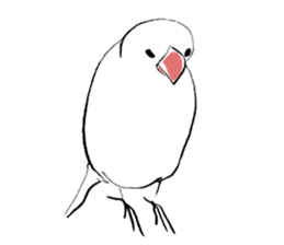 Elegant Rice bird sticker #15039308