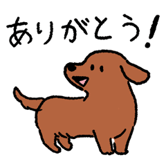 Miniature Dachshund<Dog breed>