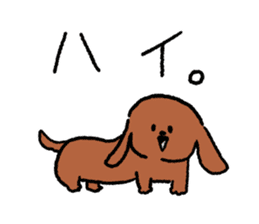 Miniature Dachshund<Dog breed> sticker #15039913